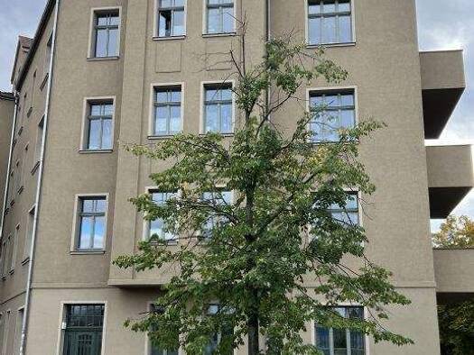 Wohnung zur Miete 700 € 3 Zimmer 67,5 m² 1. Geschoss frei ab 01.12.2026 Wielandstraße 17 Paulusviertel Halle (Saale) 06114