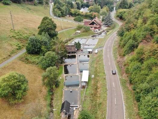 Grundstück zum Kauf provisionsfrei 150.000 € 3.000 m² Grundstück frei ab 01.01.2027 Lautenbacher Straße Hilpertsau Gernsbach 76593