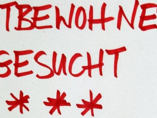 WG-Zimmer zur Miete 450 € 21 m² Geschoss 2/3 frei ab sofort Neckarhausen Edingen-Neckarhausen 68535