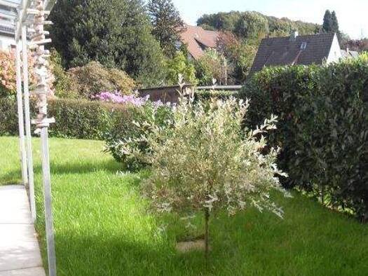 Terrassenwohnung zur Miete 540 € 2 Zimmer 73 m² frei ab 01.05.2026 Haydnstraße 15 Lüdenscheid 58509