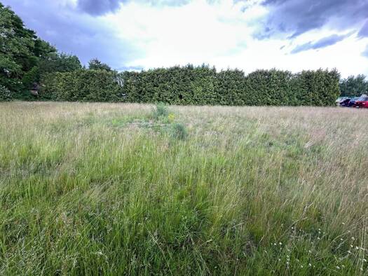 Grundstück zum Kauf 136.500 € 1.050 m² Grundstück Rietze Edemissen 31234