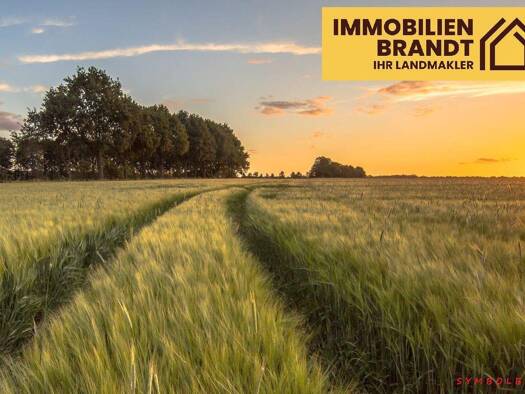 Landwirtschaftliche Fläche zum Kauf 300.000 m² Grundstück Altenbruch Cuxhaven 27478