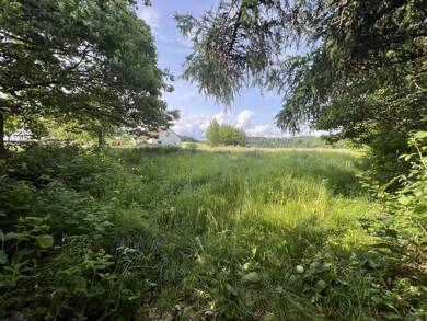 Bauernhaus zum Kauf 299.000 € 6 Zimmer 320 m² 6.400 m² Grundstück Eberhausen Adelebsen Eberhausen 37139