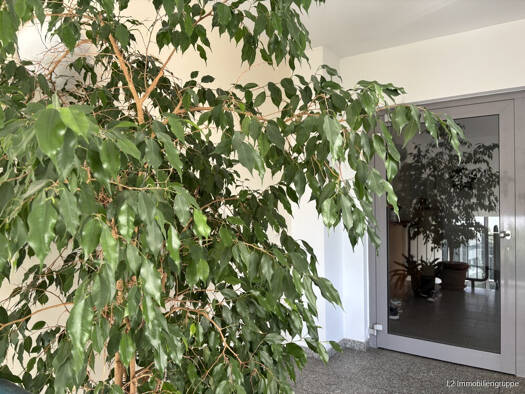 Wohnung zum Kauf 137.000 € 3 Zimmer 71 m² 2. Geschoss Coswig 01640