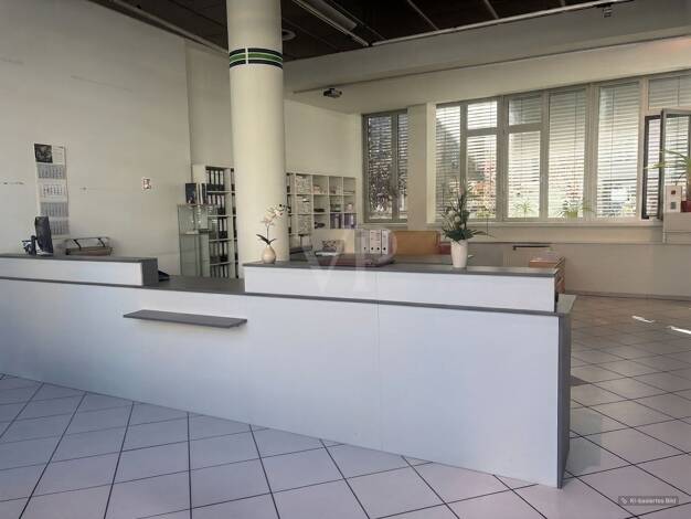Verkaufsfläche zur Miete 12,50 € 277,1 m² Verkaufsfläche Altstadt Erfurt 99084