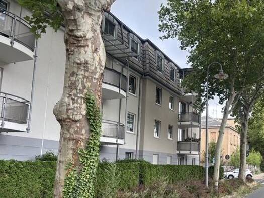 Wohnung zum Kauf 125.000 € 3 Zimmer 81 m² 1. Geschoss Meißen Meißen 01662
