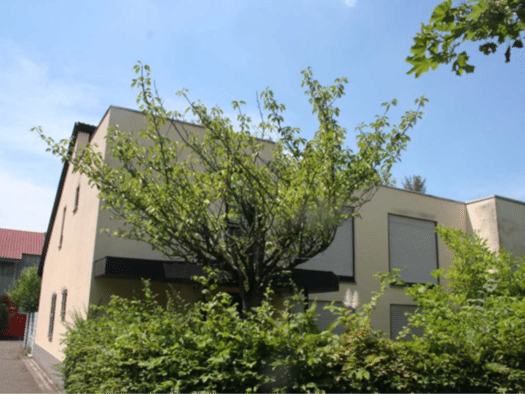 Doppelhaushälfte zum Kauf provisionsfrei 878.000 € 8 Zimmer 230 m² frei ab sofort Rheinau Rheinau 68219