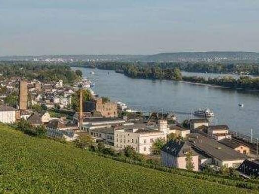 Wohnung zur Miete 695 € 2 Zimmer 71,6 m² 3. Geschoss frei ab 01.11.2026 Ludwig-Schneider-Straße 38 Rüdesheim am Rhein Rüdesheim am Rhein 65385