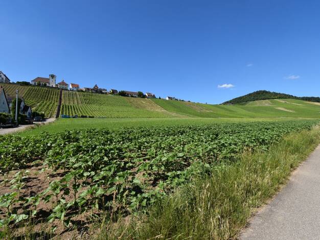 Wohnung zum Kauf 269.000 € 3,5 Zimmer 76 m² Hohenhaslach Sachsenheim 74343
