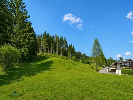 Grundstück zum Kauf 7.650 m² Grundstück Radstadt 5550