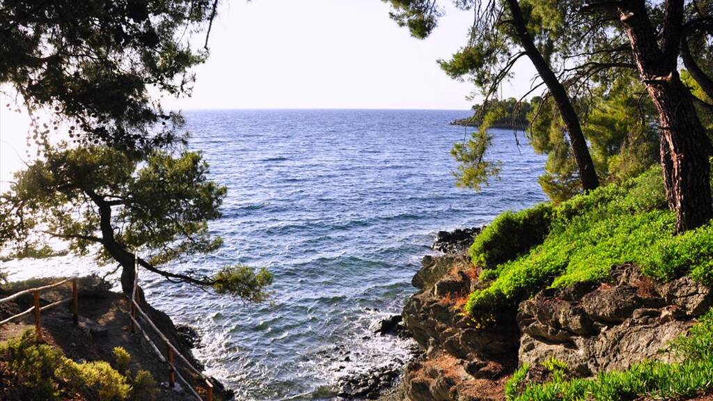 Land-/Forstwirtschaft zum Kauf 500.000 € 3.800 m² Grundstück Chalkidiki