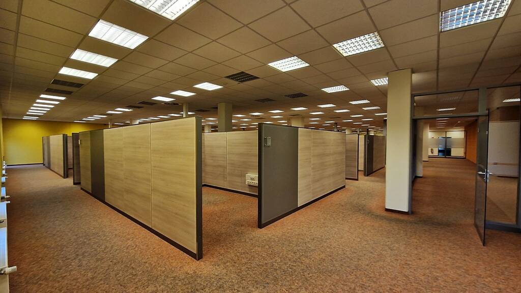 Büro zur Miete provisionsfrei 5 € 52 Zimmer 2.082 m² Bürofläche teilbar ab 100 m² Burgstraße 34 Döbeln 04720