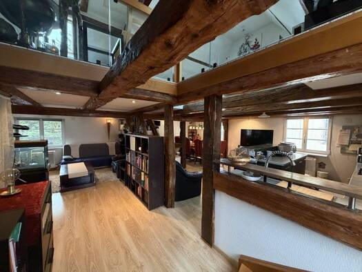 Sonstiges zum Kauf 1.095.000 € 430 m² 900 m² Grundstück Hésingue 68220