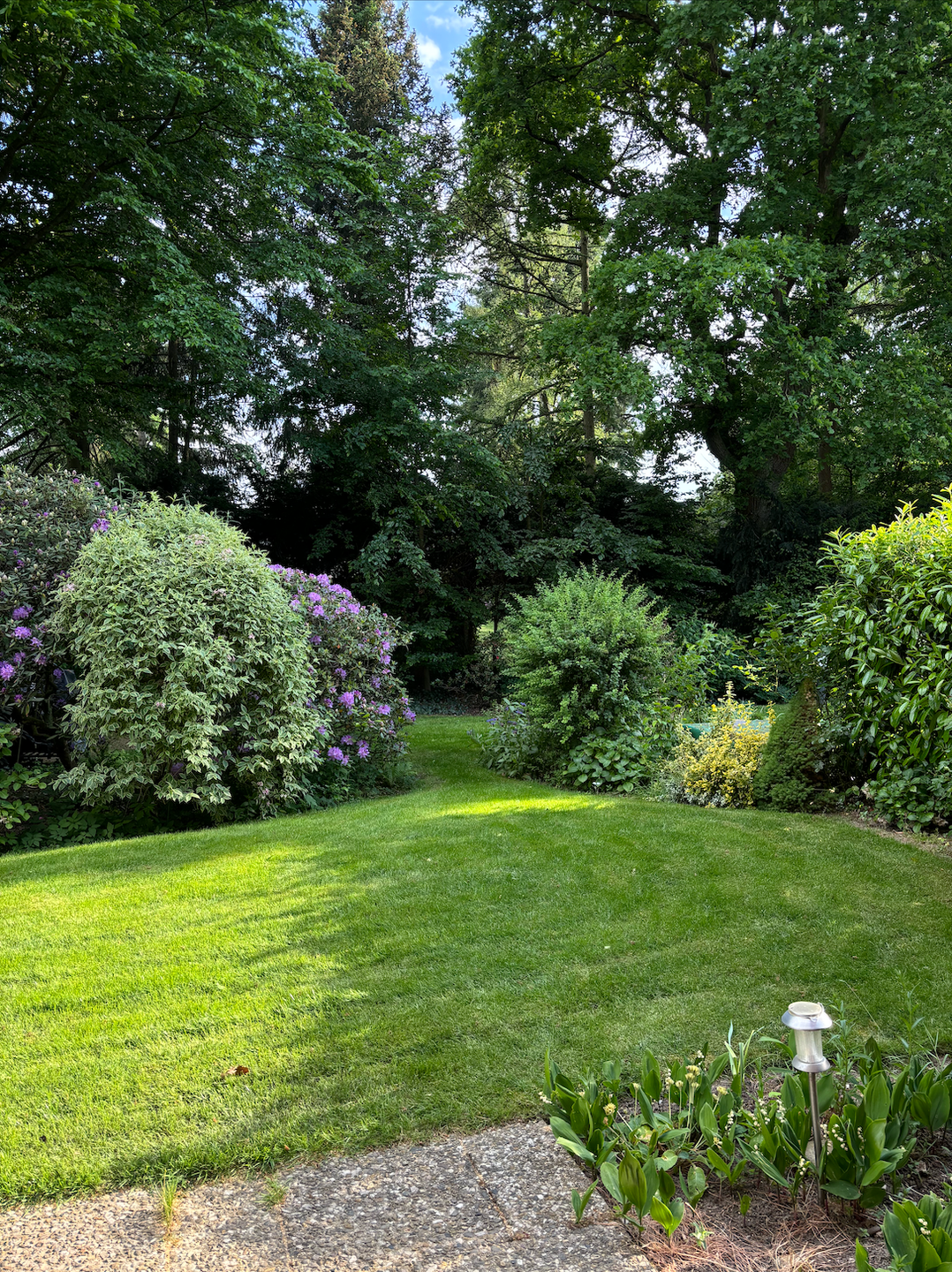 Property thumbnail 15