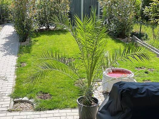 Wohnung zum Kauf 159.900 € 2 Zimmer 54 m² EG Leipzig 04158