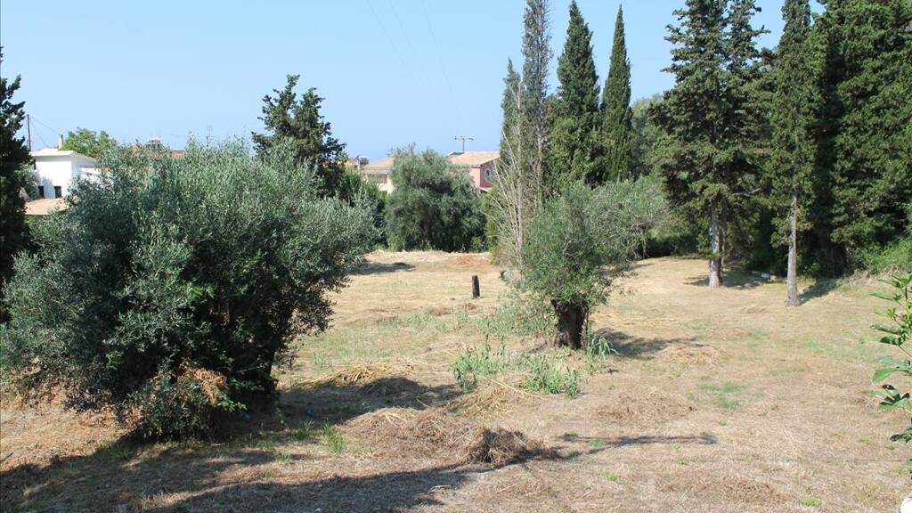 Land-/Forstwirtschaft zum Kauf 550.000 € 2.500 m² Grundstück Korfu