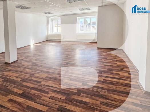 Büro zur Miete 761 € 3 Zimmer Graumannplatz 1 Traun 4050