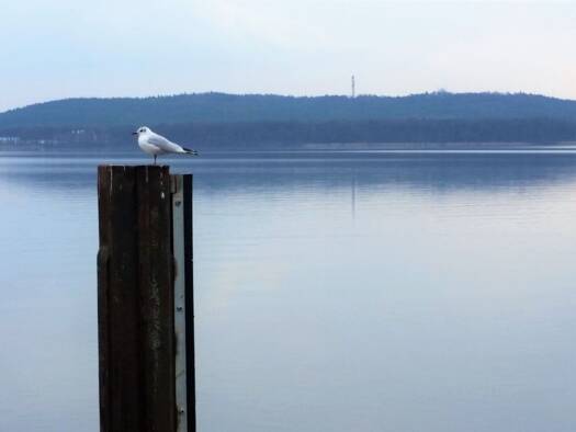 Terrassenwohnung zur Miete 1.350 € 2 Zimmer 66,2 m² 1. Geschoss Friedrichshagen Berlin 12587