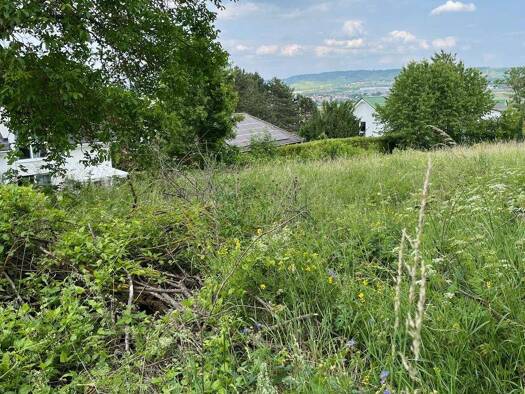 Grundstück zum Kauf provisionsfrei 150.000 € 575 m² Grundstück Laubenheim 55452