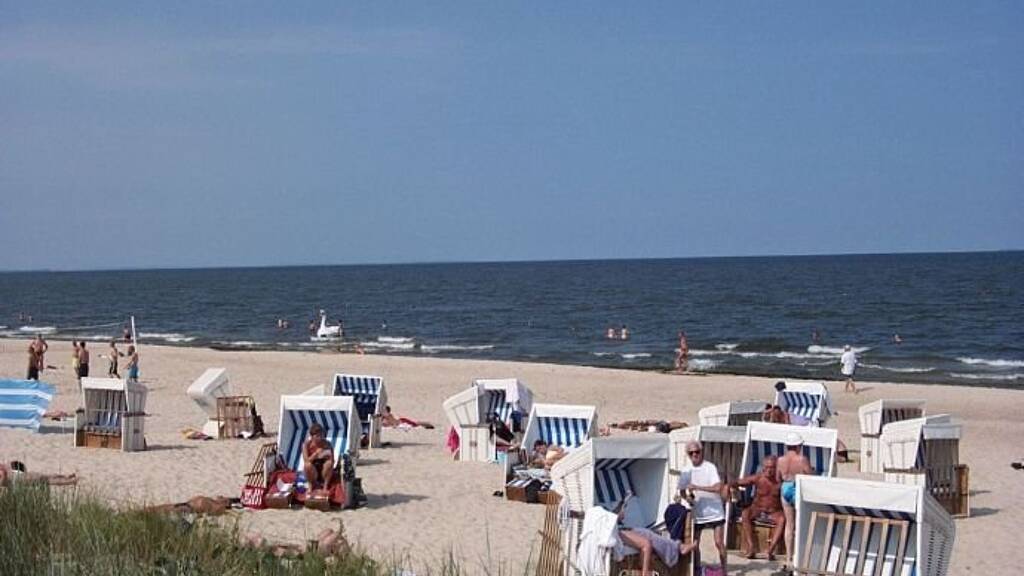 Studio zur Miete Wohnen auf Zeit 3 Zimmer 72 m² Zinnowitz 17454