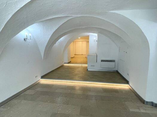 Büro zur Miete 1.200 € 3 Zimmer Bischofshofen 5500