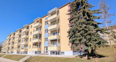 Wohnung zur Miete 392 € 2 Zimmer 49,1 m² 1. Geschoss frei ab sofort Erich-Mühsam-Straße 30 Bieblach Gera 07546
