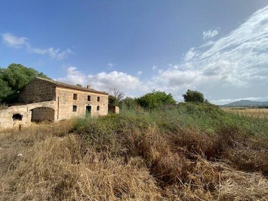 Haus zum Kauf 680.000 € 3 Zimmer 250 m² 52.000 m² Grundstück Manacor