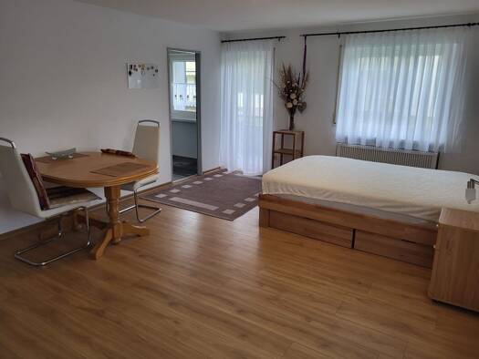 Studio zur Miete 550 € 1 Zimmer 38 m² Geschoss 1/3 frei ab sofort Lottstetten 79807