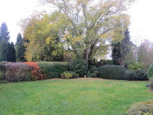 Einfamilienhaus zum Kauf 540.000 € 6 Zimmer 160 m² 650 m² Grundstück Rheinbreitbach 53619