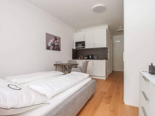Studio zur Miete 1.010 € 1 Zimmer 23,5 m² EG frei ab 01.06.2026 Hellabrunner Straße 1 Untergiesing-Harlaching München 81543