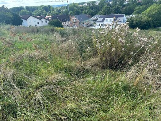 Grundstück zum Kauf 465.000 € 715 m² Grundstück Kochendorf Bad Friedrichshall-Kochendorf 74177