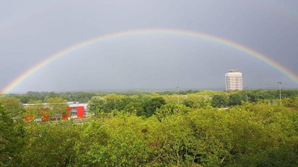 Wohnung zum Kauf 129.000 € 2 Zimmer 49 m² 7. Geschoss Wanheimerort Duisburg 47055