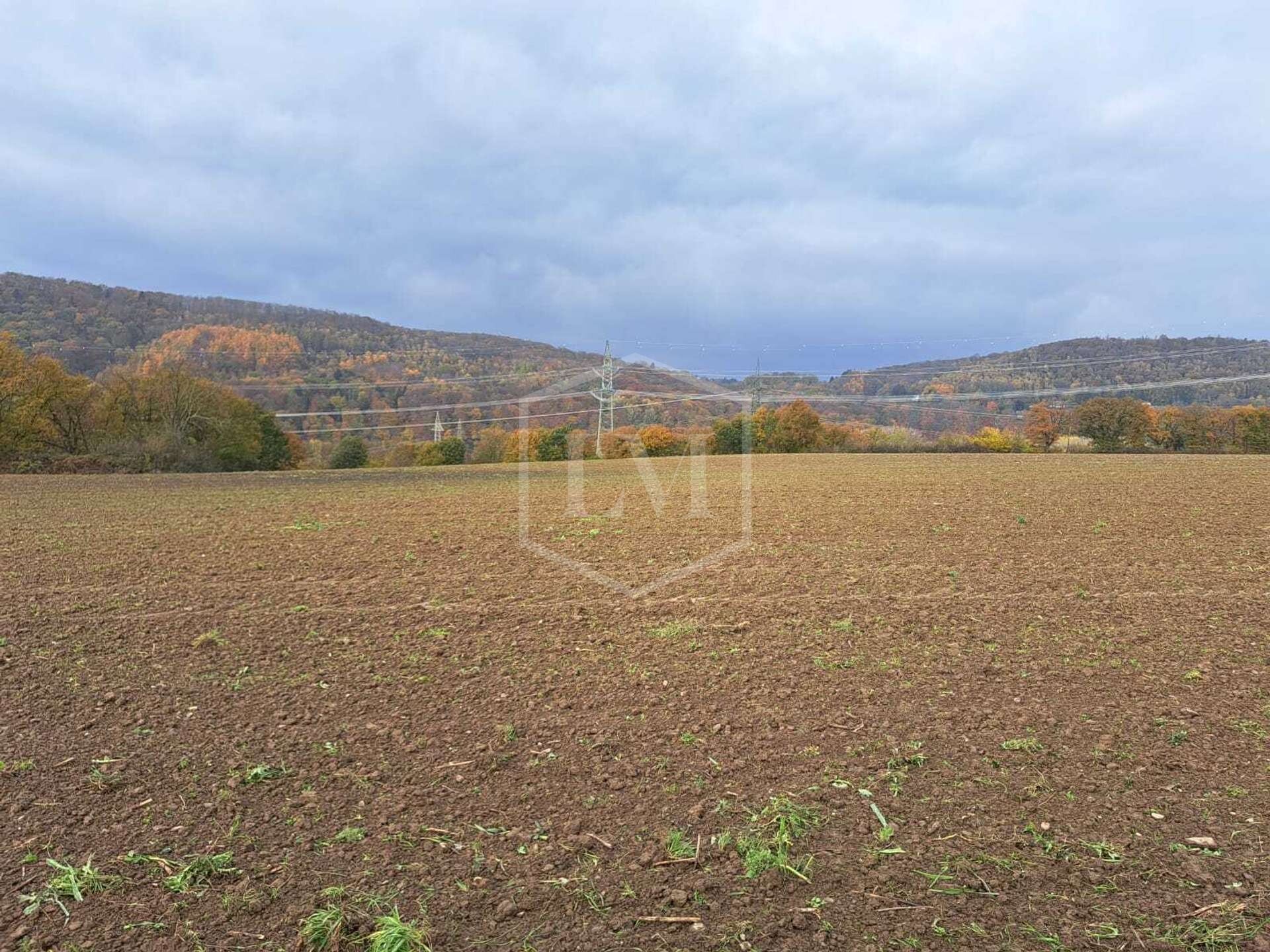 Landwirtschaftliche Fläche zum Kauf 62.000 € 12.542 m²<br/>Grundstück Zentrum Hagen 58095