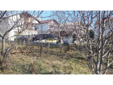 Land-/Forstwirtschaft zum Kauf 422.000 € Kastel Kambelovac