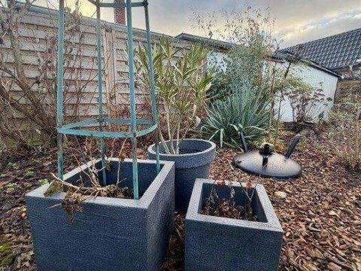 Einfamilienhaus zum Kauf 399.000 € 4 Zimmer 95 m² 764 m² Grundstück frei ab 01.02.2026 Französisch Buchholz Berlin 13127