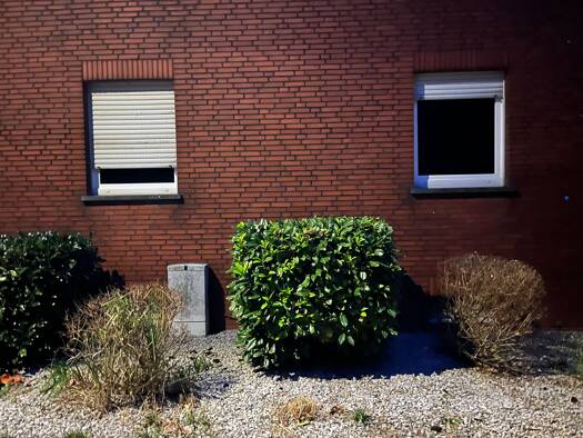 Wohnung zur Miete 490 € 2,5 Zimmer 65 m² Geschoss 1/2 frei ab sofort Bockum-Hövel Bockum - Hövel 59075
