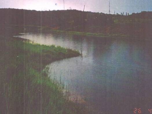 Grundstück zum Kauf 350.000 € 9.999.999 m² Grundstück Rio Preto da Eva 69117000