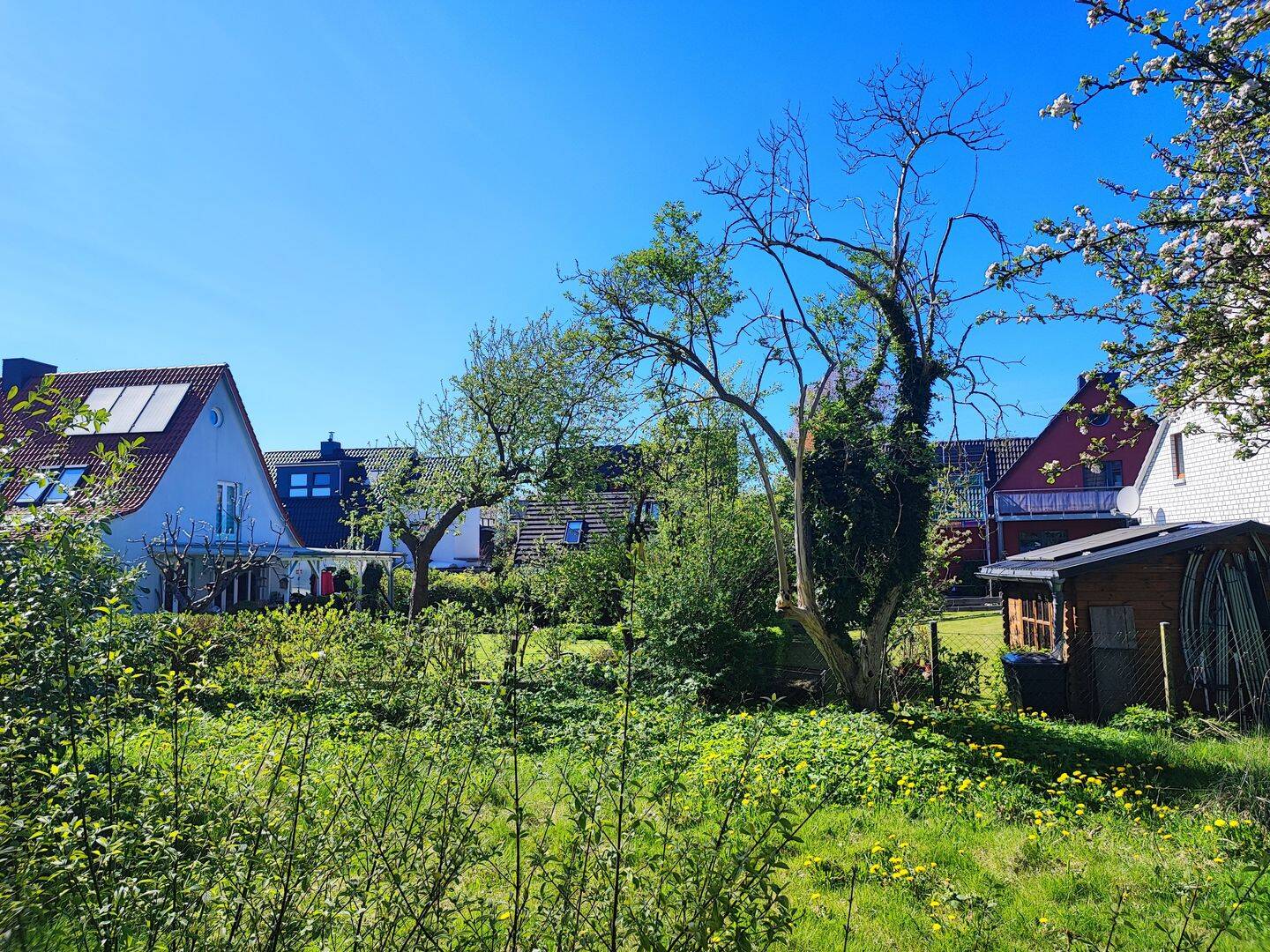 Einfamilienhaus zum Kauf - Ansicht 6