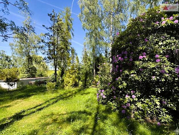 Haus zum Kauf 100.000 € 4 Zimmer 40 m² 2.374 m² Grundstück frei ab sofort Braunsdorf Niederwiesa 09577