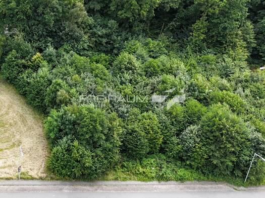 Grundstück zum Kauf 96.000 € 1.239 m² Grundstück Hainchen Netphen 57250