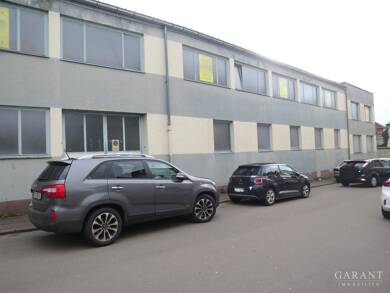 Lagerhalle zum Kauf 900 m² Lagerfläche Horeb Pirmasens 66953
