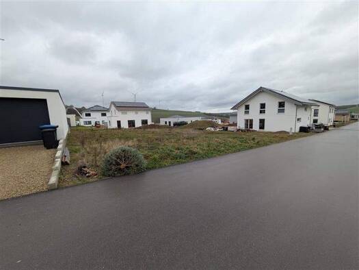 Grundstück zum Kauf 134.168 € 541 m² Grundstück Welschbillig 54298