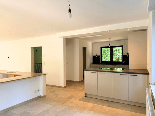 Einfamilienhaus zur Miete 2.950 € 8 Zimmer 238 m² 977 m² Grundstück frei ab sofort Steinberg Langen 63225