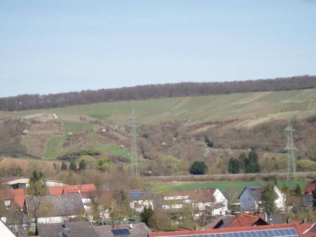 Wohnung zur Miete 750 € 4 Zimmer 130 m² 2. Geschoss Kirchgasse   8a Windesheim 55452