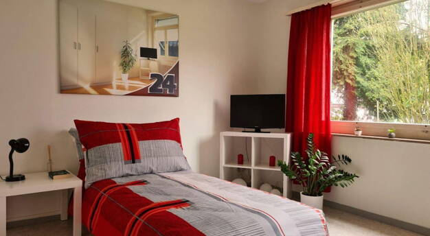 Wohnung zur Miete 390 € 2 Zimmer 50 m² 1. Geschoss Hölderlingstr. 9 Haselbrunn Plauen 08525