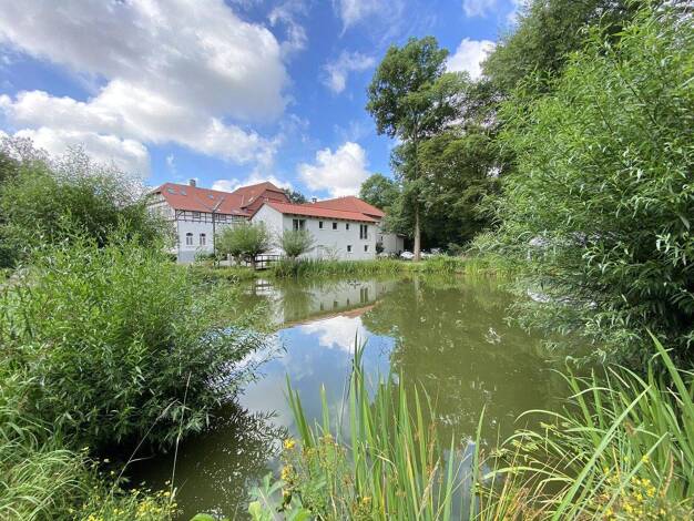 WG-Zimmer zur Miete Wohnen auf Zeit 1.400 € 32 m² 1. Geschoss frei ab sofort Lehndorf Braunschweig 38116