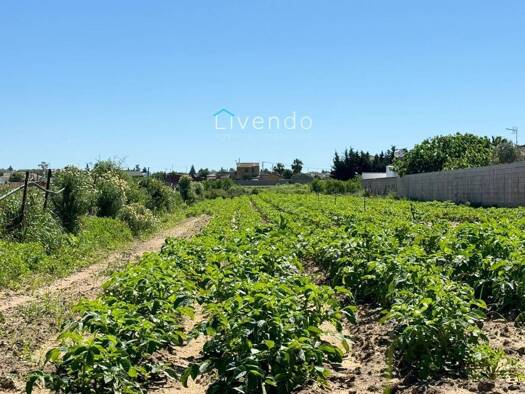 Acker-/Waldstück zum Kauf 79.000 € Conil de la Frontera 11140