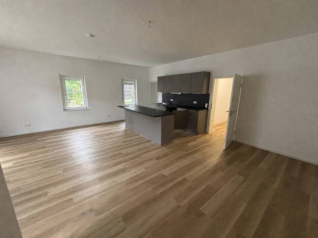 Studio zur Miete 820 € 1 Zimmer 47 m² EG Seidenhof 2 Inzlingen 79594