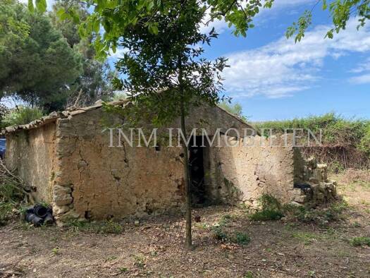 Grundstück zum Kauf provisionsfrei 180.000 € 8.344 m² Grundstück Sineu 07510