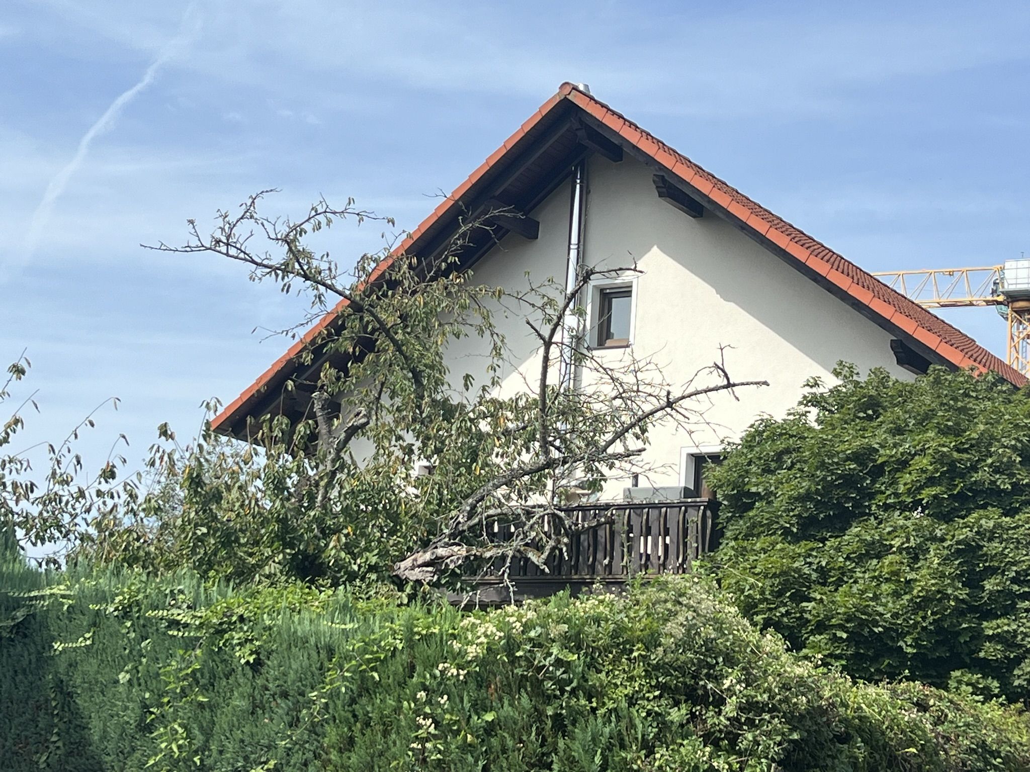 Mehrfamilienhaus zum Kauf 660.000 € 6 Zimmer 175 m²<br/>Wohnfläche 764 m²<br/>Grundstück Erlenbach Erlenbach a.Main 63906